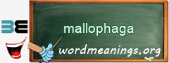 WordMeaning blackboard for mallophaga